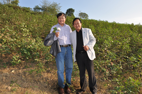 Cố vấn  dự án trồng bông - Sợi Đồng Phát - Công Ty Cổ Phần Đồng Phát